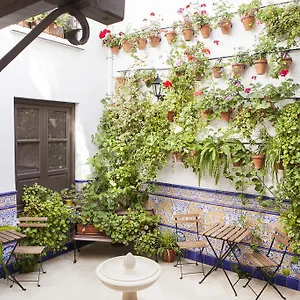 Casa De Mercedes Málaga