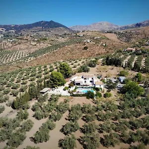  Bed and breakfast Amorosa